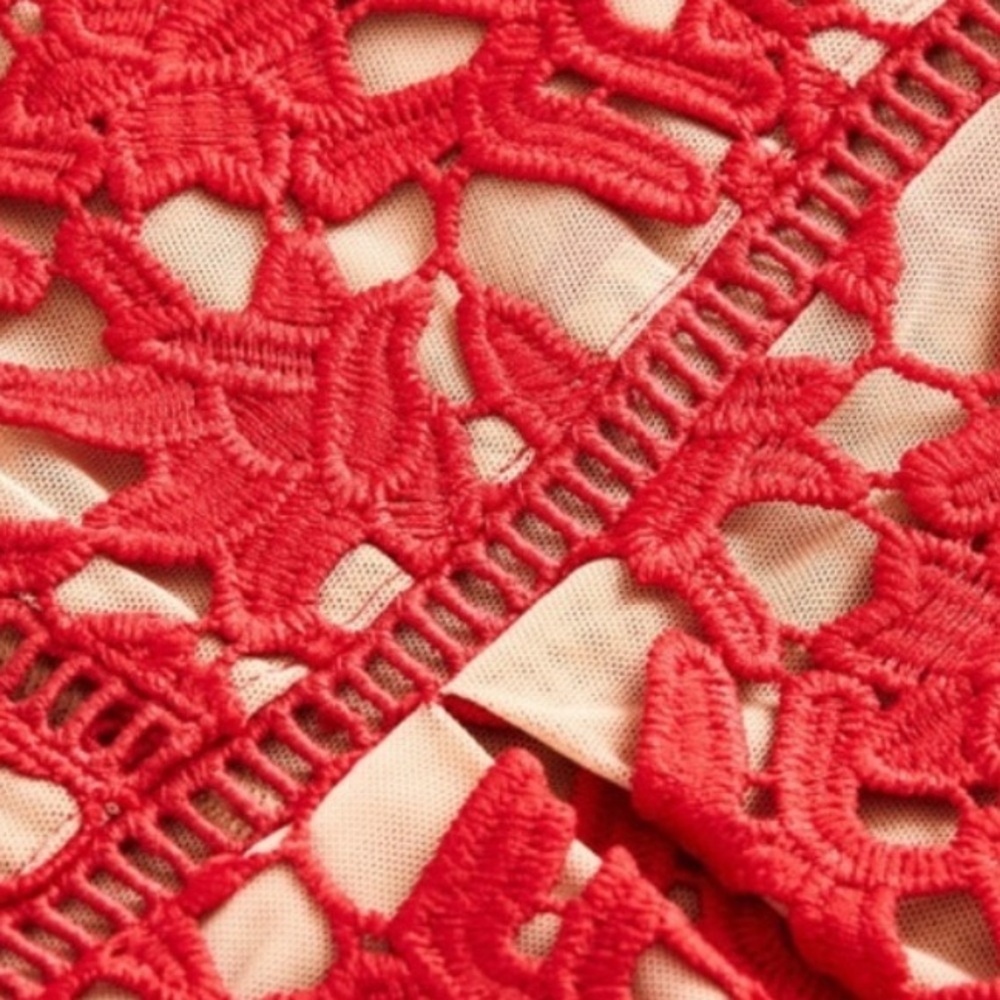 CITY CHIC SO FANCY LACE, FIT AND FLARE DRESS - RED SIZE 20 (NEW WITH TAGS) A20 - Picture 5 of 7